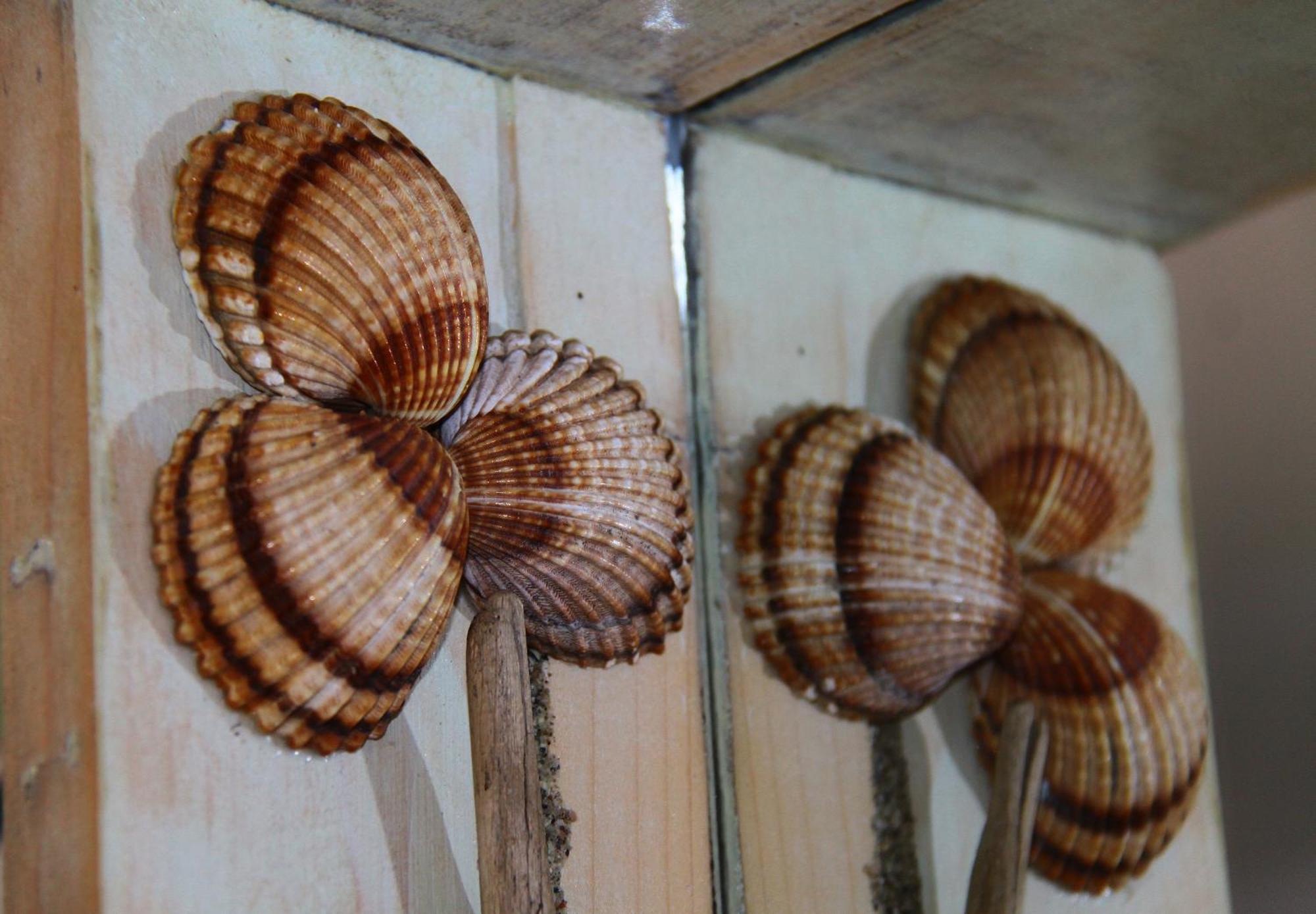 Fasoli Studios Paralia Pantaleimonos Ngoại thất bức ảnh
